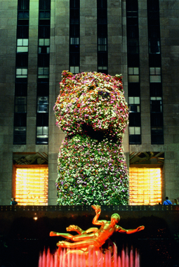 Jeff Koons. Puppy, Rockefeller Center, New York, 2000.