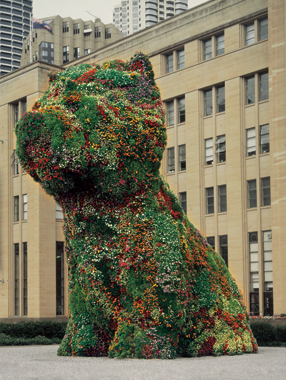 Jeff Koons. Puppy, Museum of Contemporary Art, Sydney, Australia, 1995-1996.